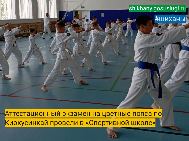 Аттестационный экзамен на цветные пояса по Киокусинкай провели в «Спортивной школе».