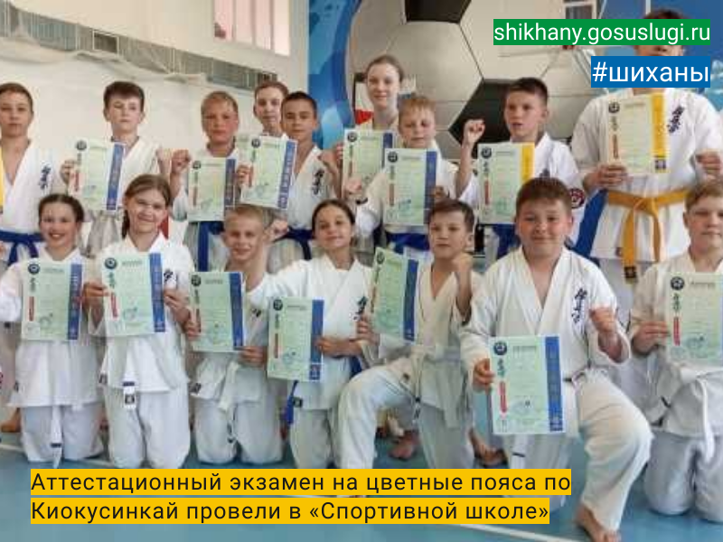 Аттестационный экзамен на цветные пояса по Киокусинкай провели в «Спортивной школе».