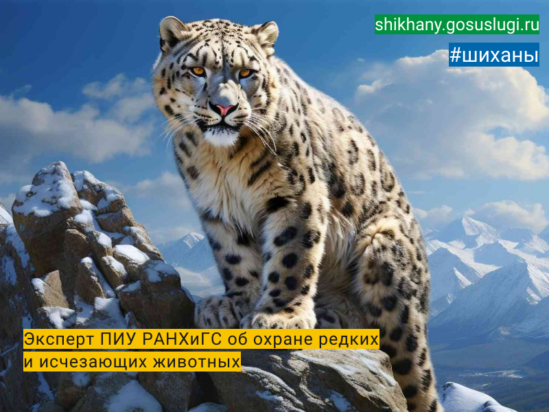Эксперт ПИУ РАНХиГС об охране редких и исчезающих животных.