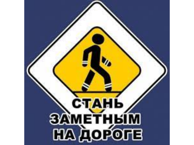 Мероприятие «Будь заметным пешеходом!. Мероприятие «Будь заметным пешеходом!.