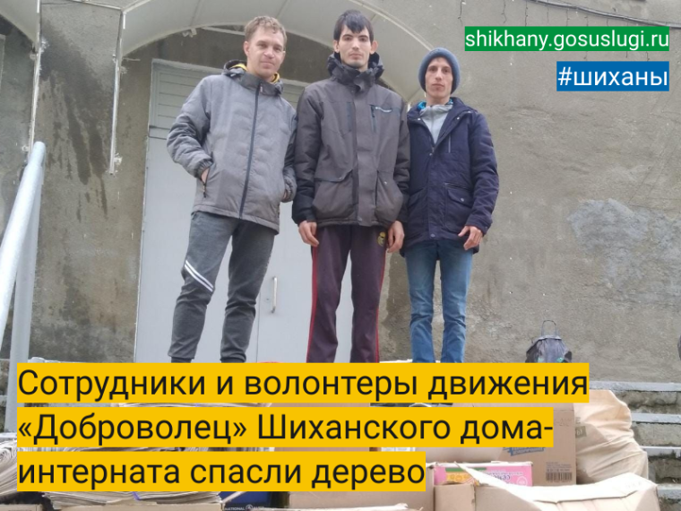 Сотрудники и волонтеры движения «Доброволец» Шиханского дома-интерната спасли дерево. Сотрудники и волонтеры движения «Доброволец» Шиханского дома-интерната спасли дерево.